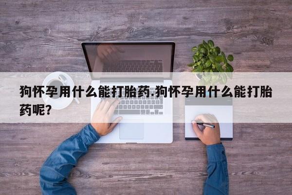 怀孕三个月用打胎药购买微信狗怀孕用什么能打胎药.狗怀孕用什么能打胎药呢？