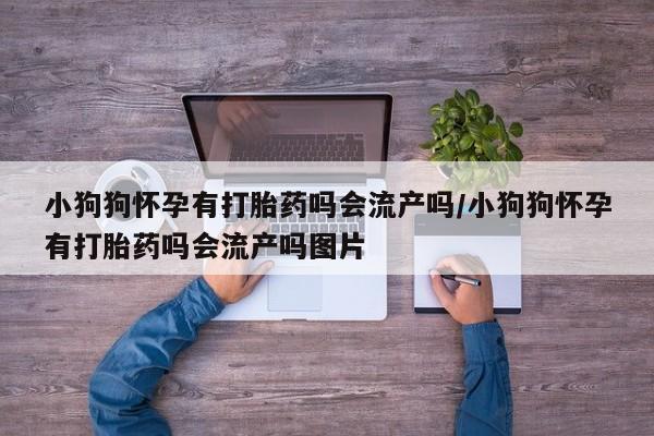 怀孕三个月用打胎药购买微信小狗狗怀孕有打胎药吗会流产吗/小狗狗怀孕有打胎药吗会流产吗图片