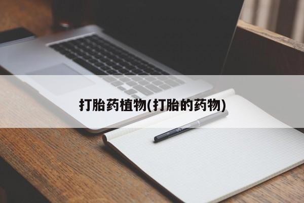 怀孕三个月用打胎药购买微信打胎药植物(打胎的药物)