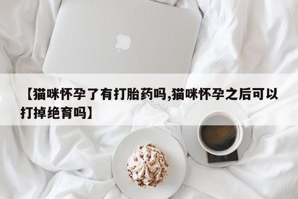 怀孕三个月用打胎药购买微信【猫咪怀孕了有打胎药吗,猫咪怀孕之后可以打掉绝育吗】