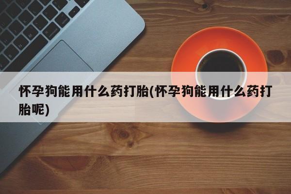 怀孕三个月用打胎药购买微信怀孕狗能用什么药打胎(怀孕狗能用什么药打胎呢)