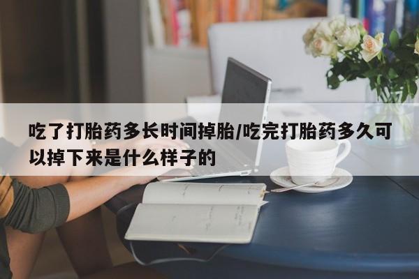 怀孕三个月用打胎药购买微信吃了打胎药多长时间掉胎/吃完打胎药多久可以掉下来是什么样子的